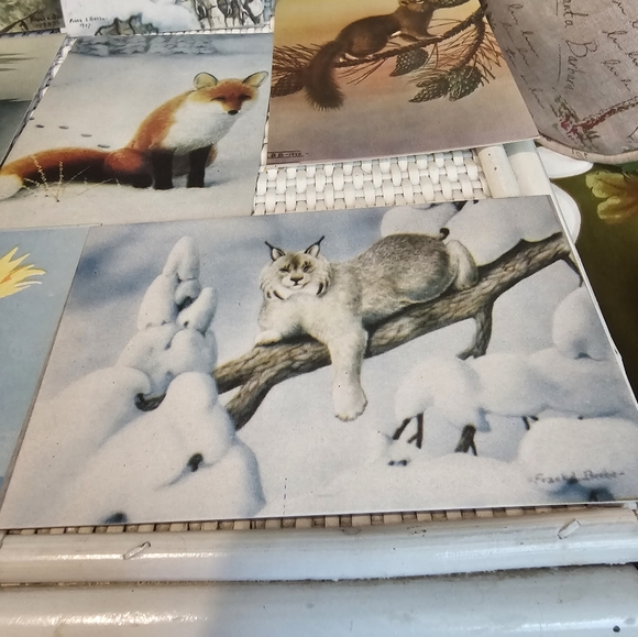 Vintage Unused Postcards - Picture 5 of 5